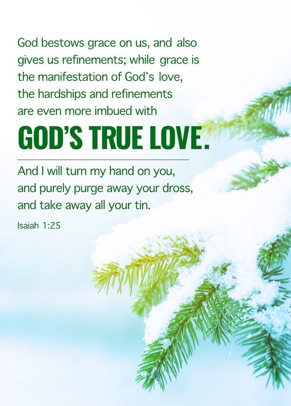 Bible Verse】God's True Love
