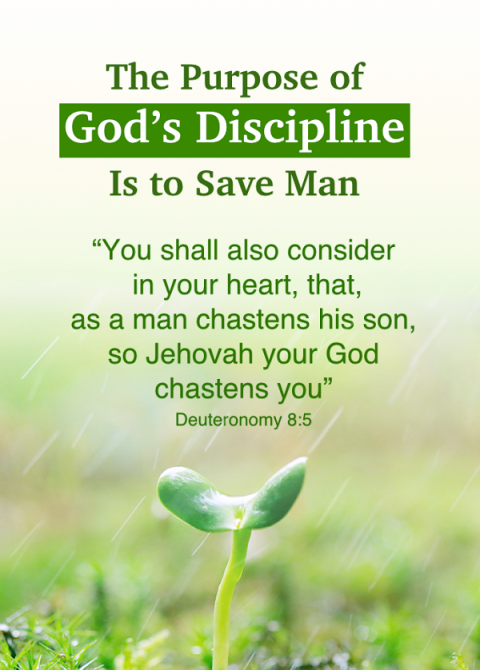 bible verse discipline equals dom