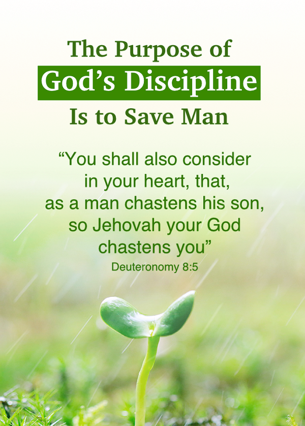 bible verse discipline equals dom